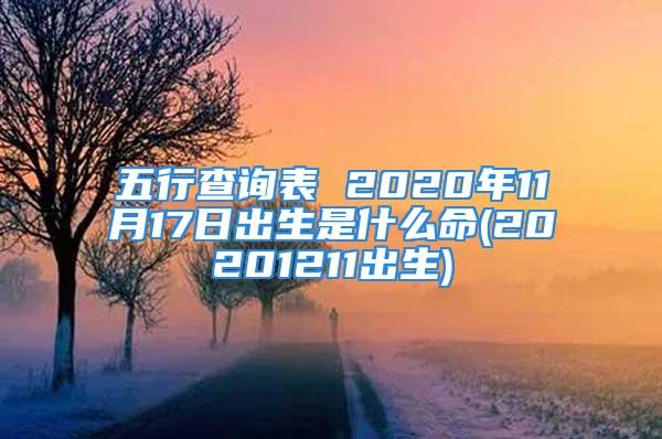 五行查询表 2020年11月17日出生是什么命(20201211出生)