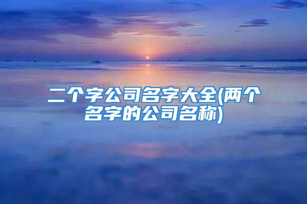 二个字公司名字大全(两个名字的公司名称)