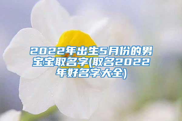 2022年出生5月份的男宝宝取名字(取名2022年好名字大全)