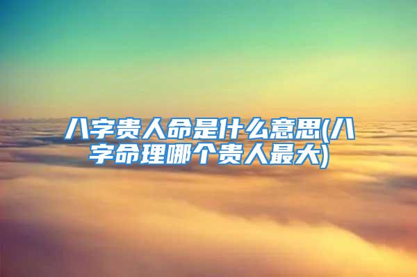 八字贵人命是什么意思(八字命理哪个贵人最大)