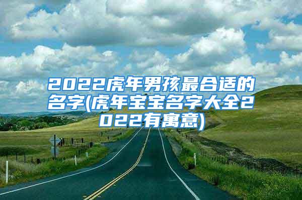 2022虎年男孩最合适的名字(虎年宝宝名字大全2022有寓意)