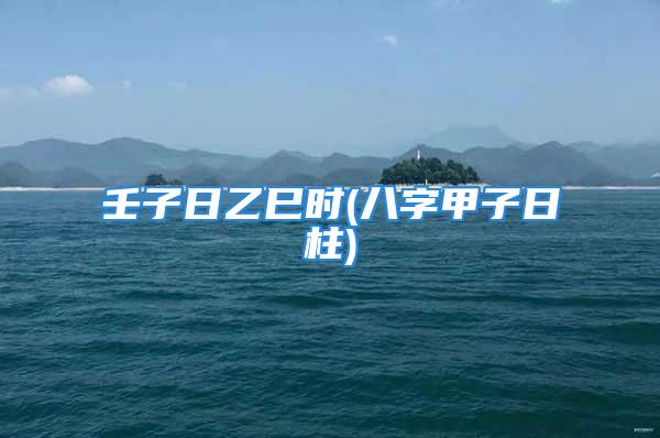 壬子日乙巳时(八字甲子日柱)