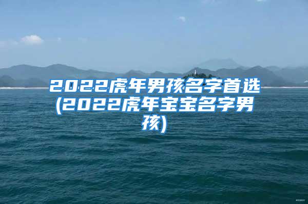 2022虎年男孩名字首选(2022虎年宝宝名字男孩)