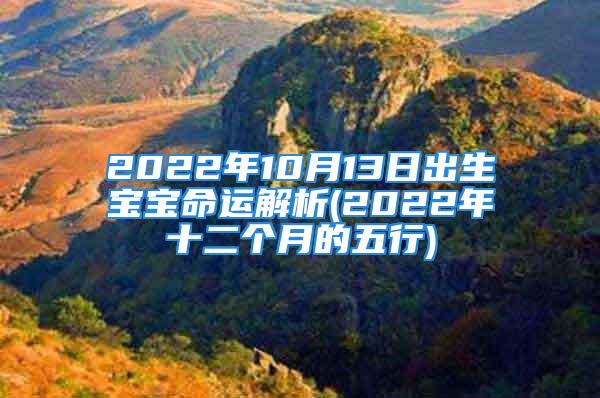 2022年10月13日出生宝宝命运解析(2022年十二个月的五行)