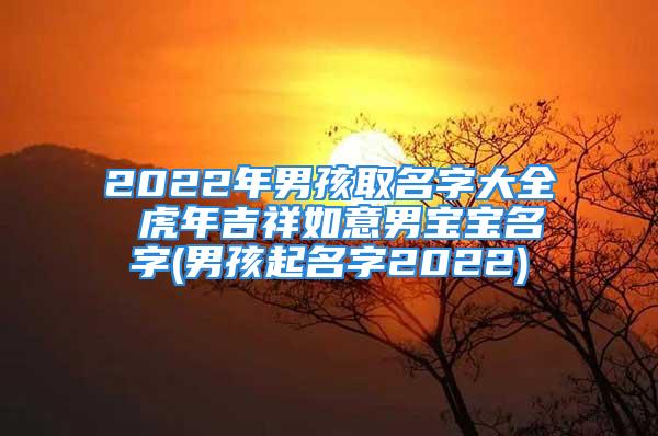 2022年男孩取名字大全 虎年吉祥如意男宝宝名字(男孩起名字2022)