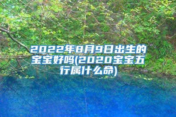 2022年8月9日出生的宝宝好吗(2020宝宝五行属什么命)