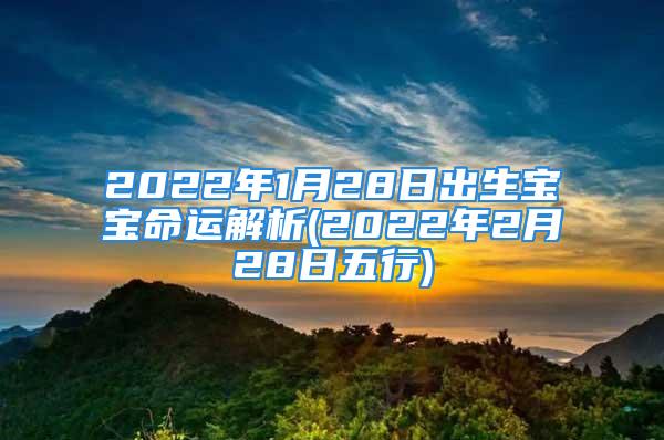 2022年1月28日出生宝宝命运解析(2022年2月28日五行)