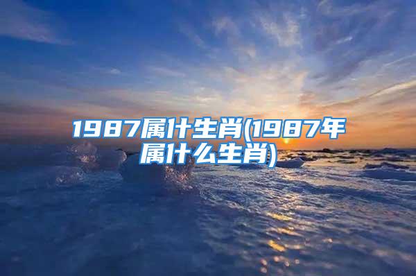 1987属什生肖(1987年属什么生肖)