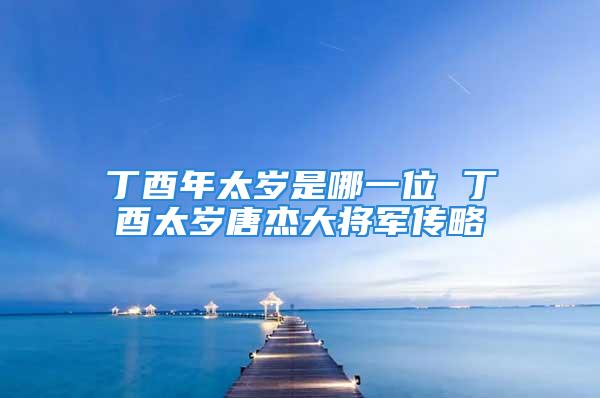 丁酉年太岁是哪一位 丁酉太岁唐杰大将军传略