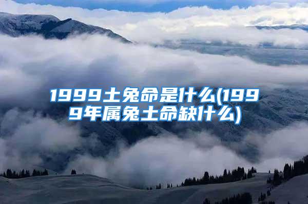 1999土兔命是什么(1999年属兔土命缺什么)