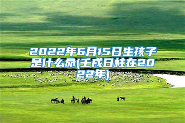 2022年6月15日生孩子是什么命(壬戌日柱在2022年)