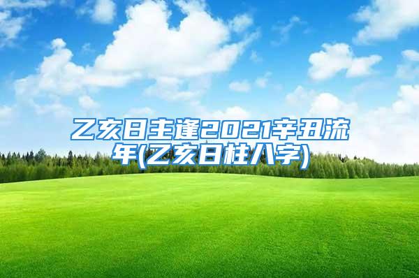 乙亥日主逢2021辛丑流年(乙亥日柱八字)