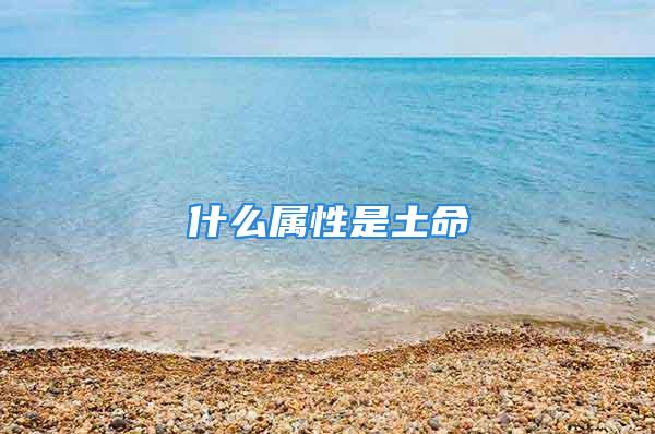 什么属性是土命