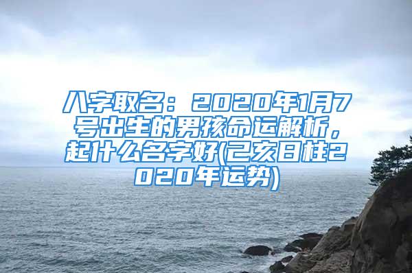 八字取名：2020年1月7号出生的男孩命运解析，起什么名字好(己亥日柱2020年运势)