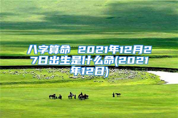 八字算命 2021年12月27日出生是什么命(2021年12日)