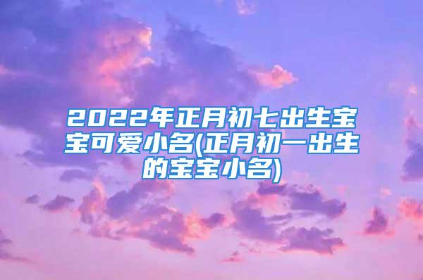 2022年正月初七出生宝宝可爱小名(正月初一出生的宝宝小名)