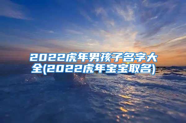 2022虎年男孩子名字大全(2022虎年宝宝取名)