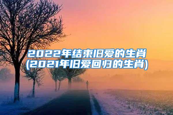 2022年结束旧爱的生肖(2021年旧爱回归的生肖)