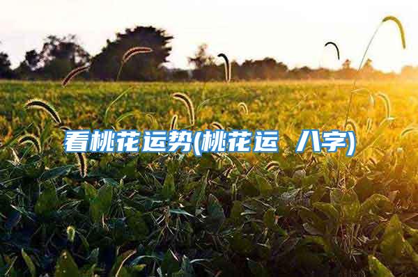 看桃花运势(桃花运 八字)