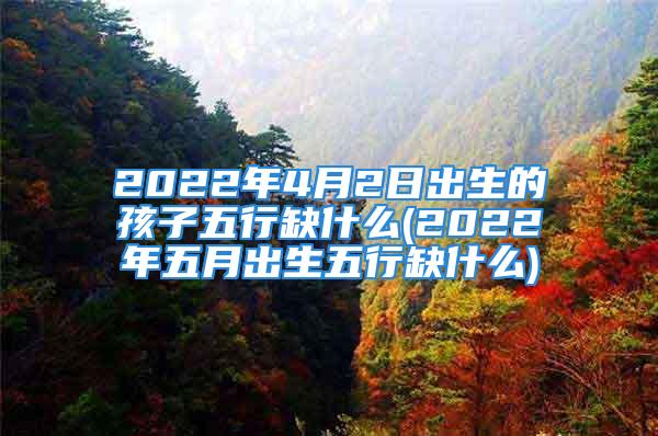 2022年4月2日出生的孩子五行缺什么(2022年五月出生五行缺什么)