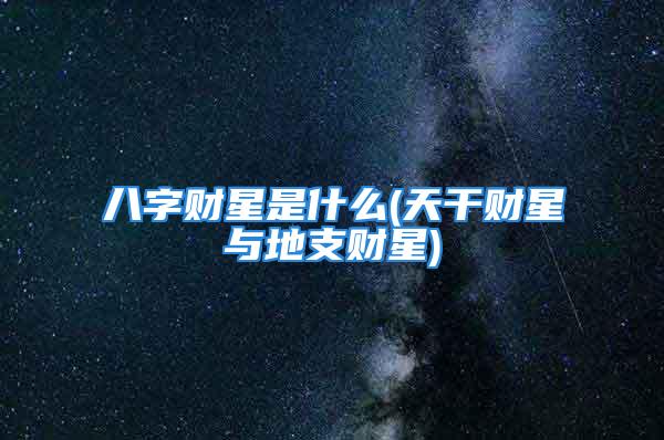 八字财星是什么(天干财星与地支财星)