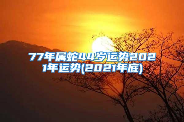 77年属蛇44岁运势2021年运势(2021年底)