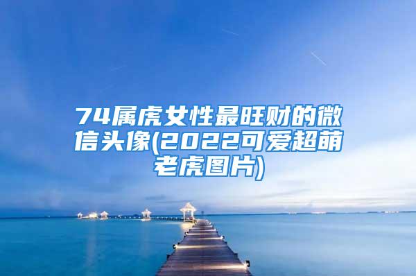 74属虎女性最旺财的微信头像(2022可爱超萌老虎图片)