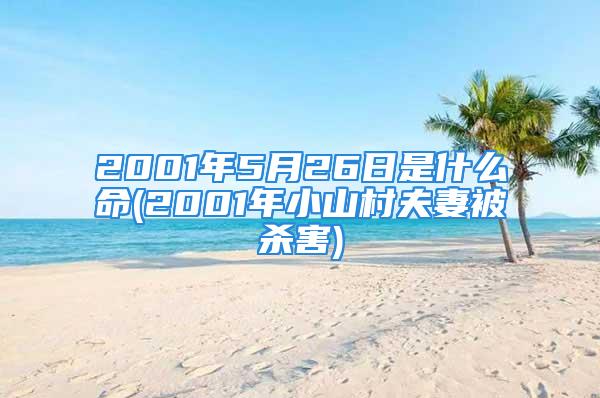 2001年5月26日是什么命(2001年小山村夫妻被杀害)