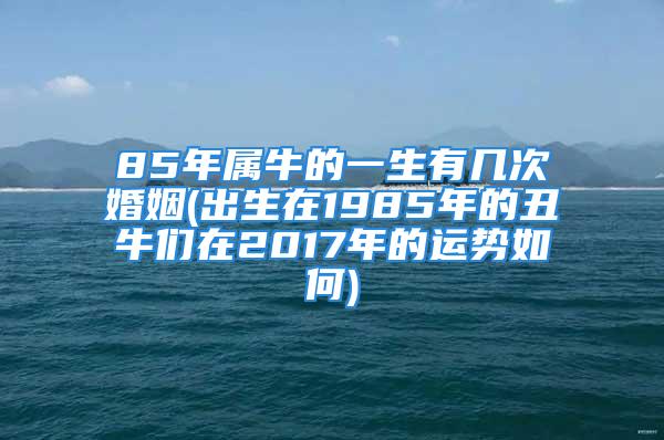 85年属牛的一生有几次婚姻(出生在1985年的丑牛们在2017年的运势如何)