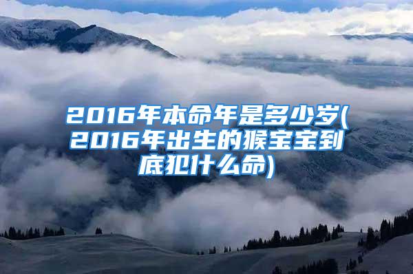 2016年本命年是多少岁(2016年出生的猴宝宝到底犯什么命)