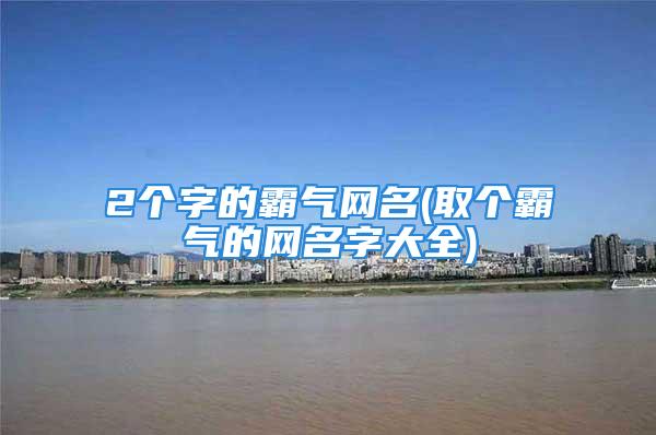 2个字的霸气网名(取个霸气的网名字大全)