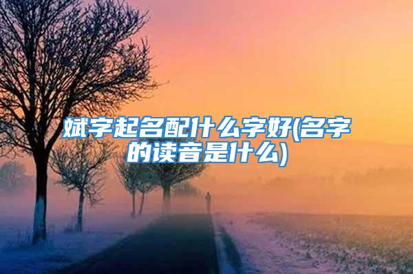 斌字起名配什么字好(名字的读音是什么)