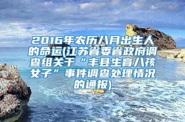 2016年农历八月出生人的命运(江苏省委省政府调查组关于“丰县生育八孩女子”事件调查处理情况的通报)