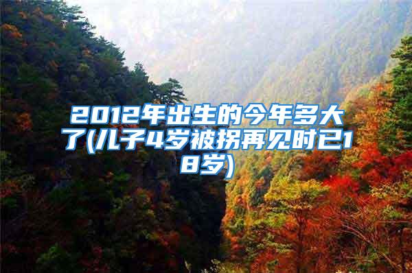 2012年出生的今年多大了(儿子4岁被拐再见时已18岁)