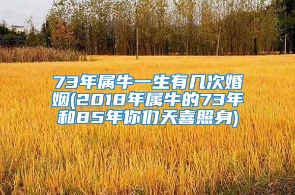 73年属牛一生有几次婚姻(2018年属牛的73年和85年你们天喜照身)