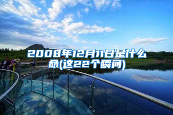 2008年12月11日是什么命(这22个瞬间)