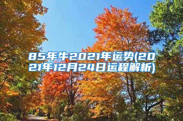 85年牛2021年运势(2021年12月24日运程解析)