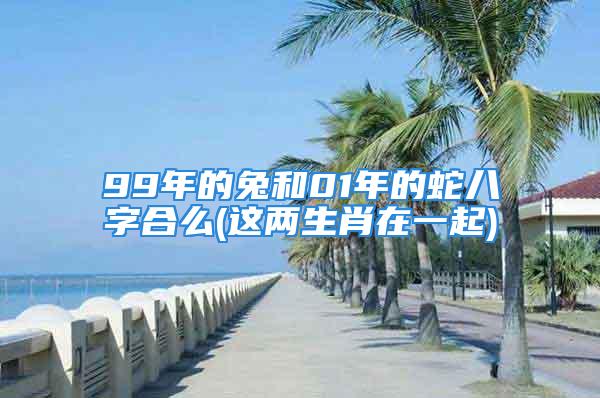 99年的兔和01年的蛇八字合么(这两生肖在一起)