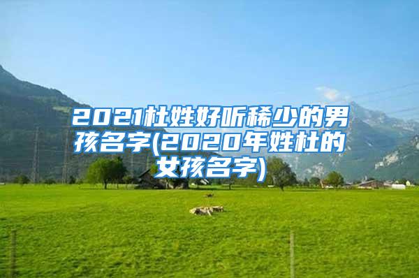 2021杜姓好听稀少的男孩名字(2020年姓杜的女孩名字)