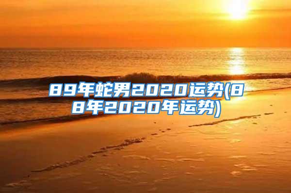 89年蛇男2020运势(88年2020年运势)