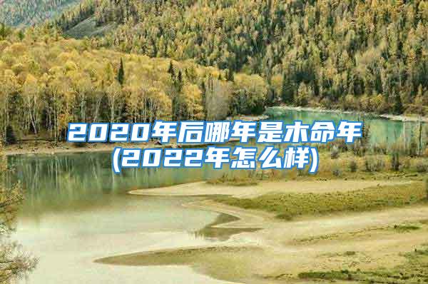 2020年后哪年是木命年(2022年怎么样)