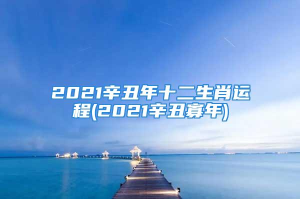 2021辛丑年十二生肖运程(2021辛丑寡年)