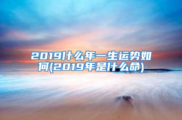 2019什么年一生运势如何(2019年是什么命)