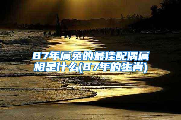 87年属兔的最佳配偶属相是什么(87年的生肖)