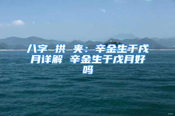 八字 拱 夹：辛金生于戌月详解 辛金生于戊月好吗