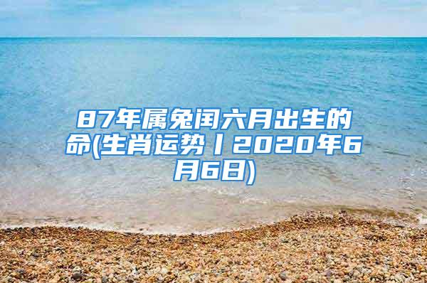 87年属兔闰六月出生的命(生肖运势丨2020年6月6日)