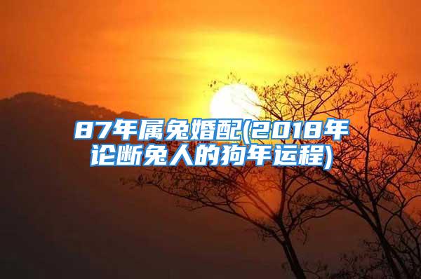 87年属兔婚配(2018年论断兔人的狗年运程)