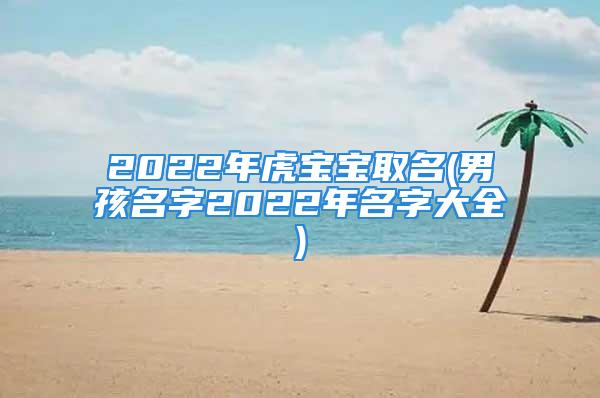 2022年虎宝宝取名(男孩名字2022年名字大全)