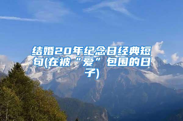 结婚20年纪念日经典短句(在被“爱”包围的日子)