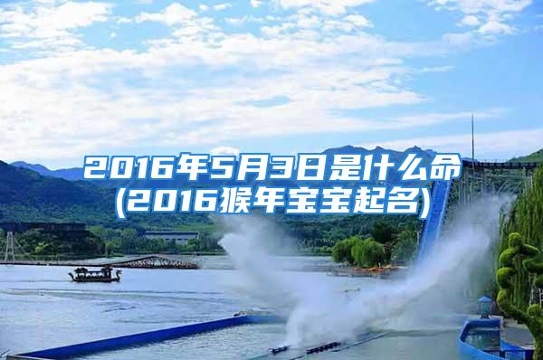 2016年5月3日是什么命(2016猴年宝宝起名)